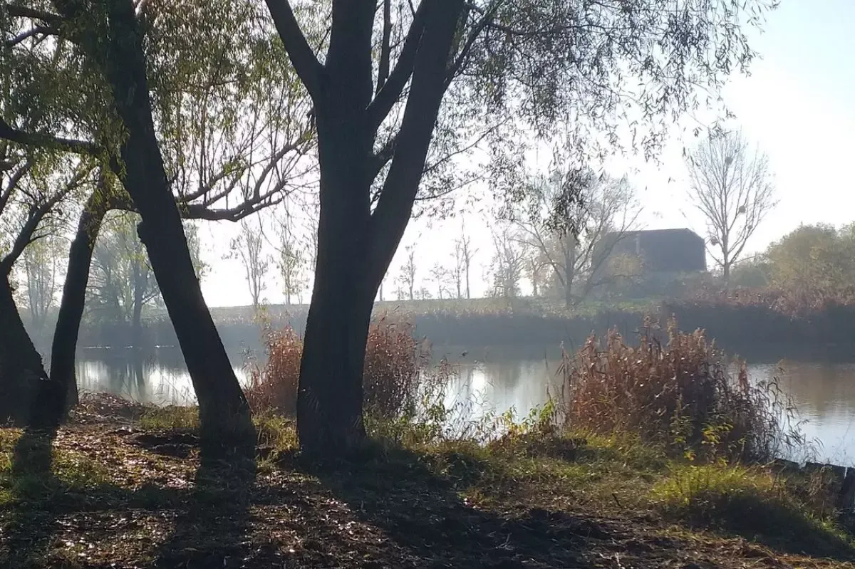 Herbstliches Ufer des Łowisko Małe Samsieczno mit Weiden