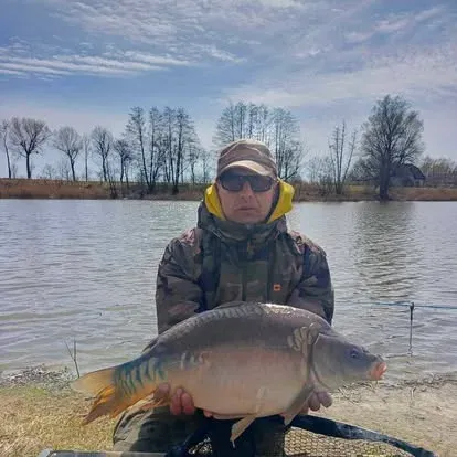 Angler mit einem kapitalen Karpfen vom Łowisko Małe Samsieczno (26)