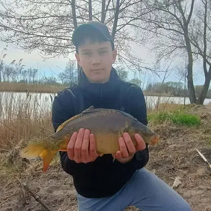 Angler mit einem kapitalen Karpfen vom Łowisko Małe Samsieczno (27)