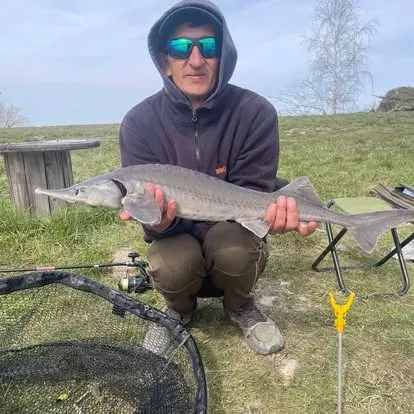 Angler mit einem kapitalen Karpfen vom Łowisko Małe Samsieczno (28)