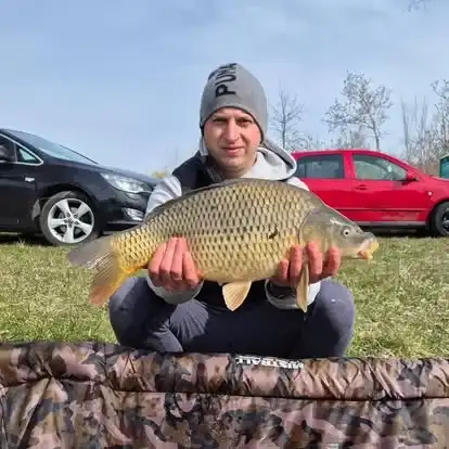 Wędkarz z okazowym karpiem złowionym na Łowisku Małe Samsieczno (29)