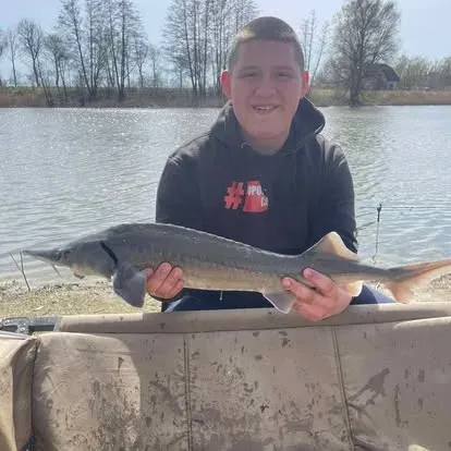 Angler mit einem kapitalen Karpfen vom Łowisko Małe Samsieczno (30)