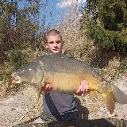 Angler mit einem kapitalen Karpfen vom Łowisko Małe Samsieczno (34)