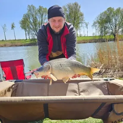 Angler mit einem kapitalen Karpfen vom Łowisko Małe Samsieczno (35)